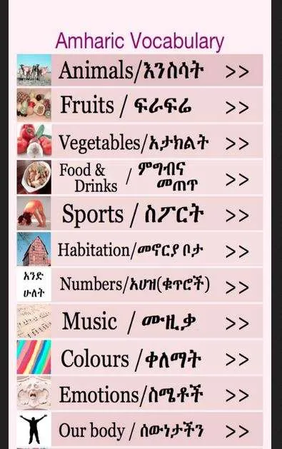 Amharic language