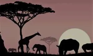 facts about Africa