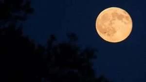 moon