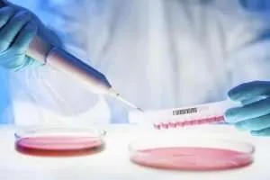 cure for cancer
