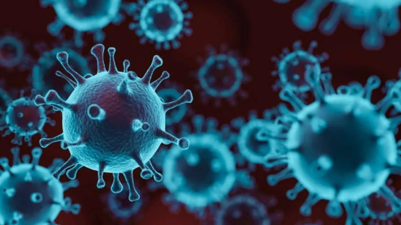 African Countries with no Coronavirus death case