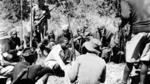 African Freedom Fighters