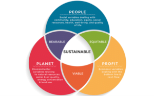 How to Build a Sustainable Business Online