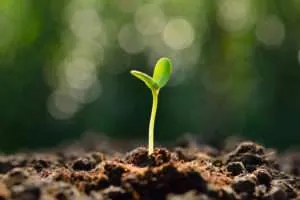 Seed Funding For Your Startup In Africa