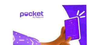 Pocket by Piggyvest