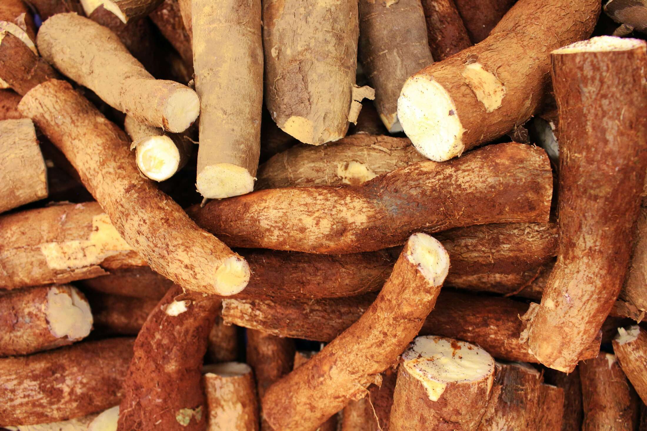 How to Write a Cassava Starch Business Production Plan