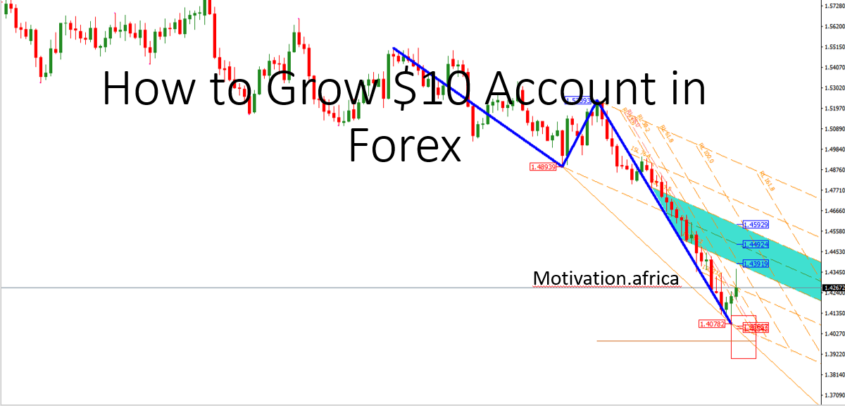 how to grow $10 Account in forex